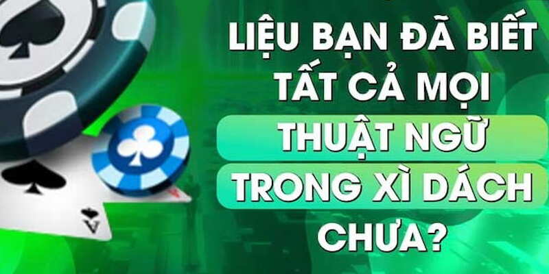 Cập nhật những thuật ngữ thường dùng trong ván xì dách